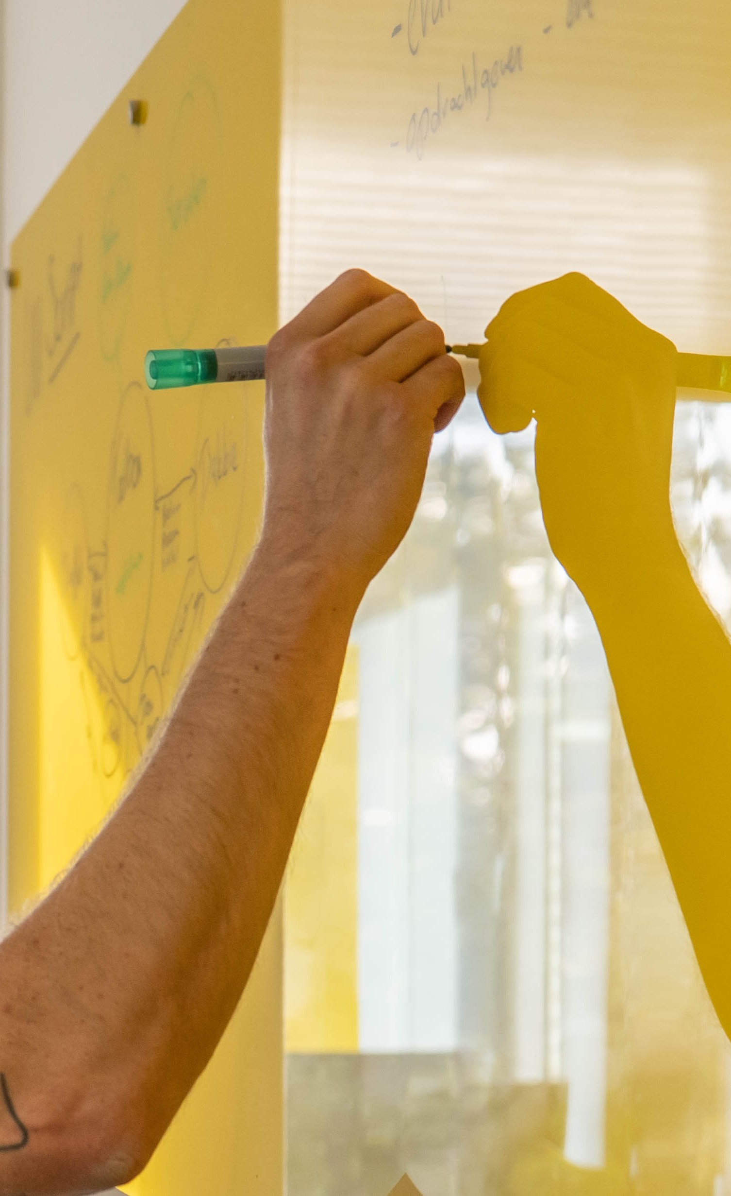 Whiteboard